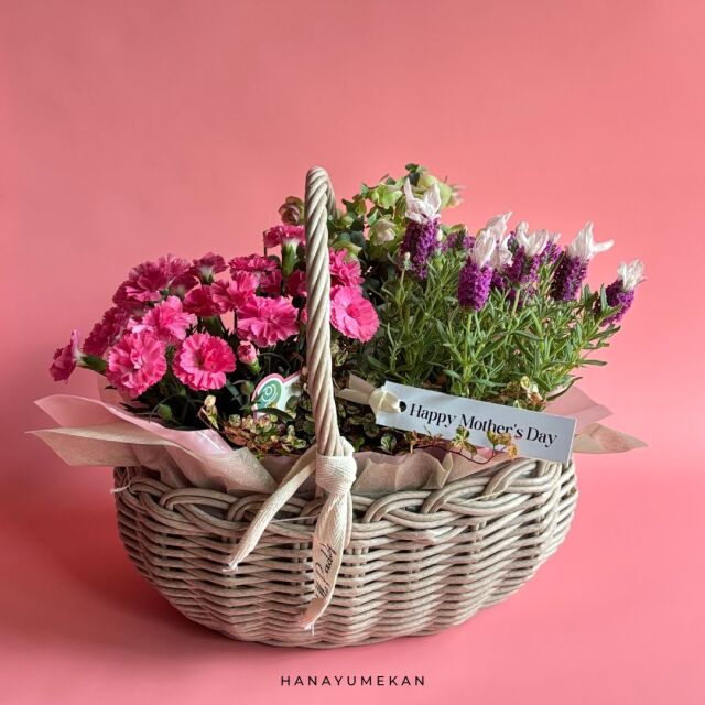 プランツ　季節の寄せ鉢　mother　 A