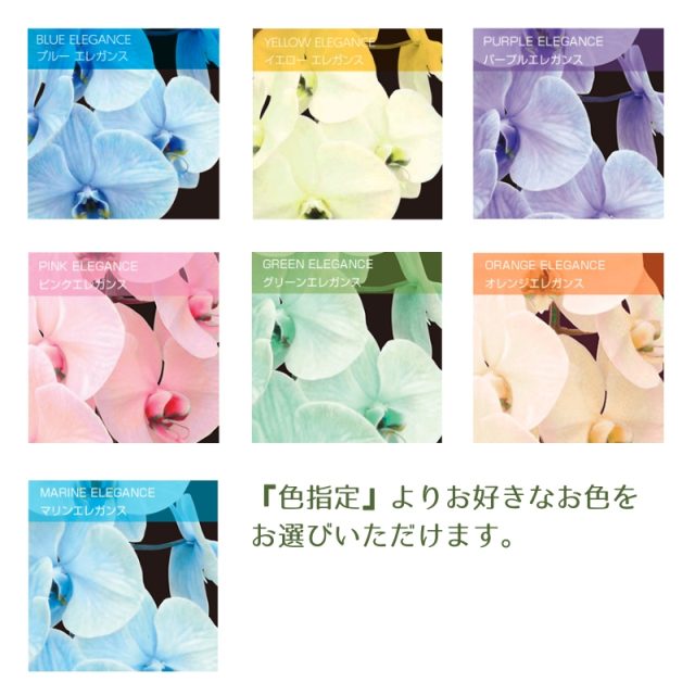 エレガンスシリーズ各色イメージ