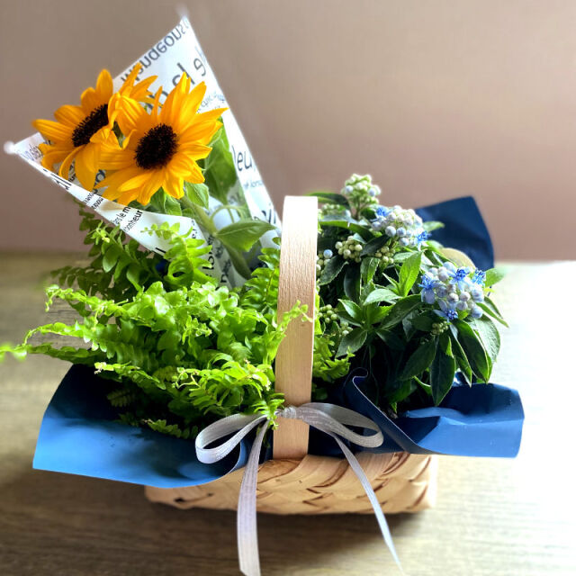 鉢物 お祝い プレゼント プランツ 季節の寄せ鉢 Father With Himawari 岐阜の花屋なら花夢館