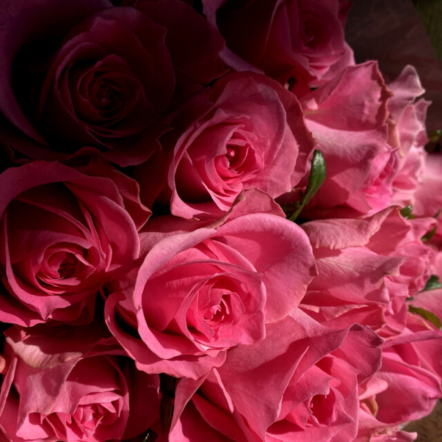 バラの花 プロポーズの花束 【21本のバラの花束－あなただけに尽くします－pink