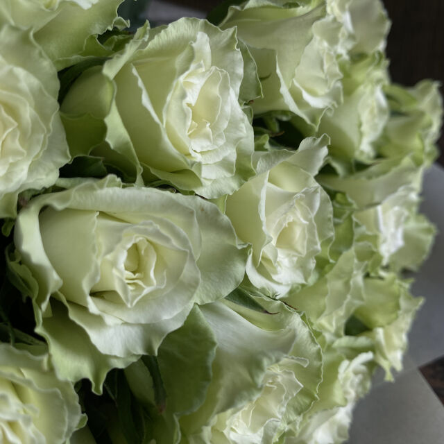 プロポーズの花束 21本のバラの花束－あなただけに尽くします－white