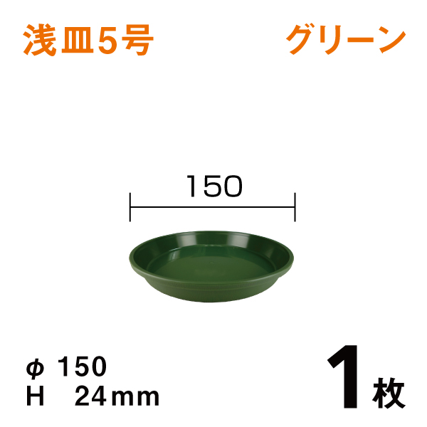 浅皿5号【グリーン】1枚　直径15×高さ2.4cm