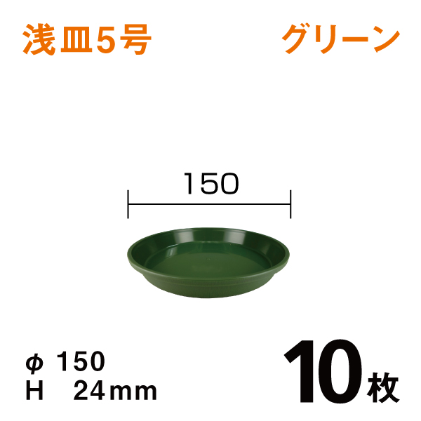 浅皿5号【グリーン】10枚【1枚あたり￥54】　直径15×高さ2.4cm
