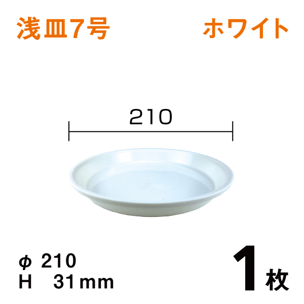 浅皿7号【ホワイト】1枚　直径21×高さ3.1cm