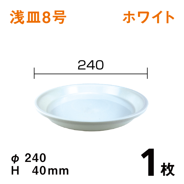 浅皿8号【ホワイト】1枚　直径24×高さ4cm