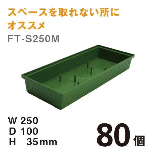 フローラルトレーFT-S250M 【80個】＠￥117　W250×D100×H35mmスペースを取れない所にはオススメです