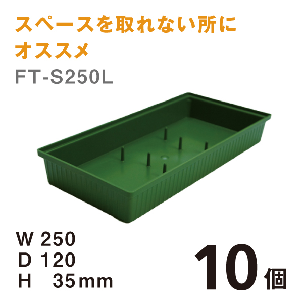 フローラルトレーFT-S250L 【10個】＠￥145　W250×D120×H35mmスペースを取れない所にはオススメです