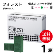 フォレスト　フローラルフォーム デラックス　【1箱】　48ブリック　W23×D11×H8ｃm  やや硬め　保水力UP!