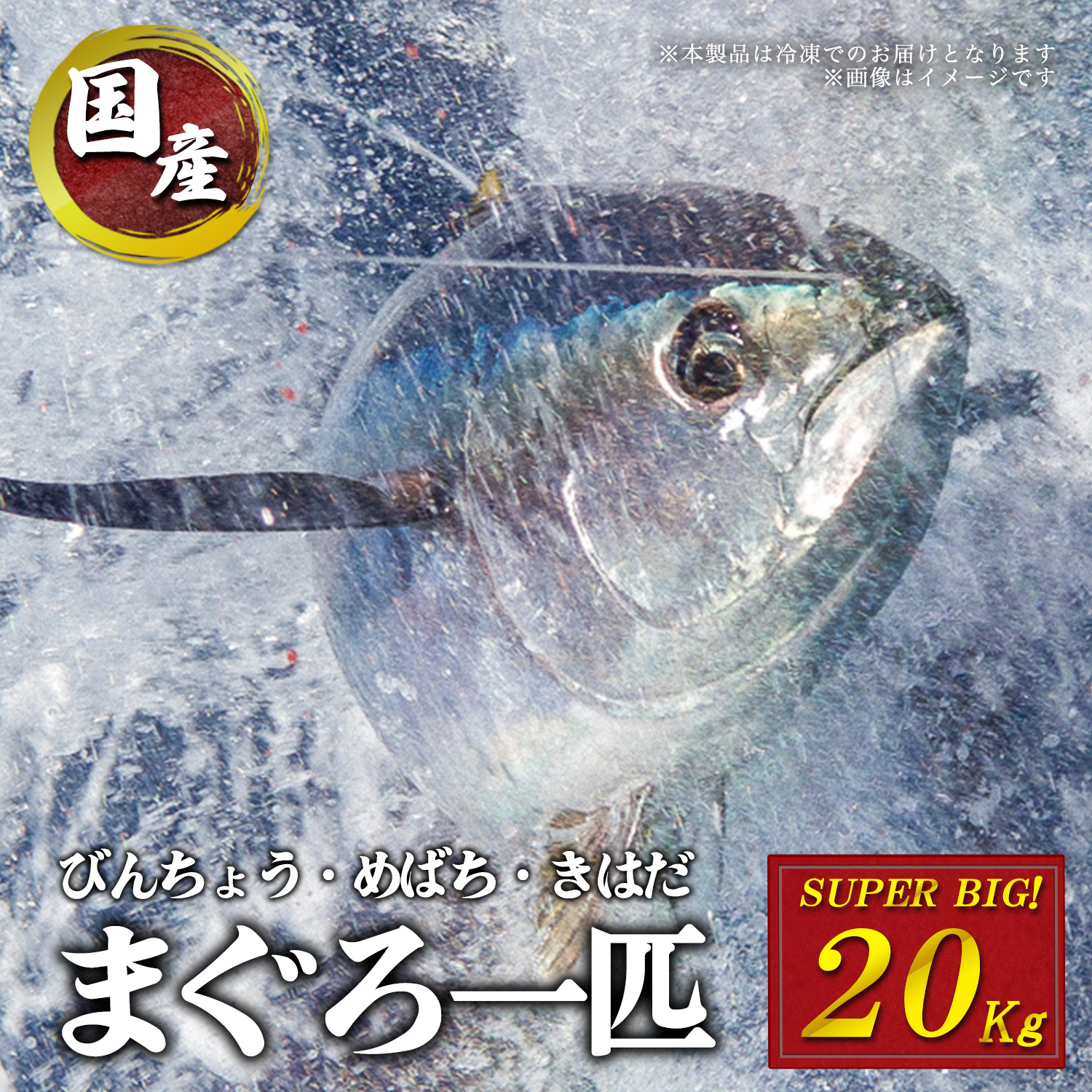 焼津 海の極 国産 マグロ まるごと 一匹 20kg 巨大鮪 マル 冷凍 海鮮丼 刺身 寿司 漬け丼 海伸 本場の海鮮 新鮮 業務用 飲食店 お店 ※冷凍のため解凍、保管に注意※
