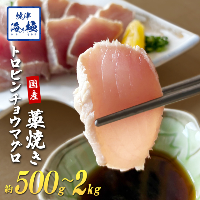 焼津 海の極 絶品 天然 まぐろ 藁焼き トロ ビンチョウ 500g～2kg 静岡県焼津市製造 海伸 本場の海鮮グルメ 脂ビンチョウ たたき お刺身 新鮮 冷凍 贈り物 ギフトにも