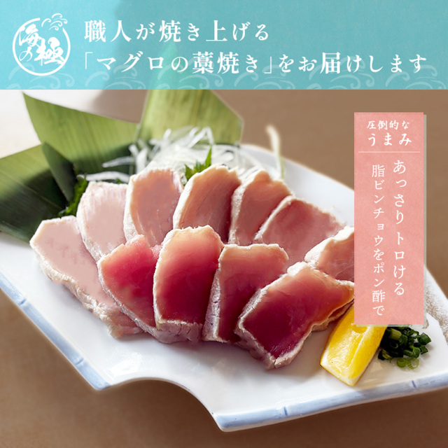 焼津 海の極 絶品 天然 まぐろ 藁焼き トロ ビンチョウ 500g～2kg 静岡
