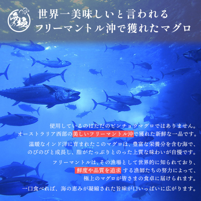 焼津 海の極 絶品 天然 まぐろ 藁焼き トロ ビンチョウ 500g～2kg 静岡