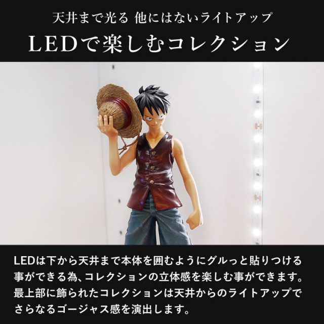 オプション]コレクションラック DIO LEDユニットホワイト リモコン付