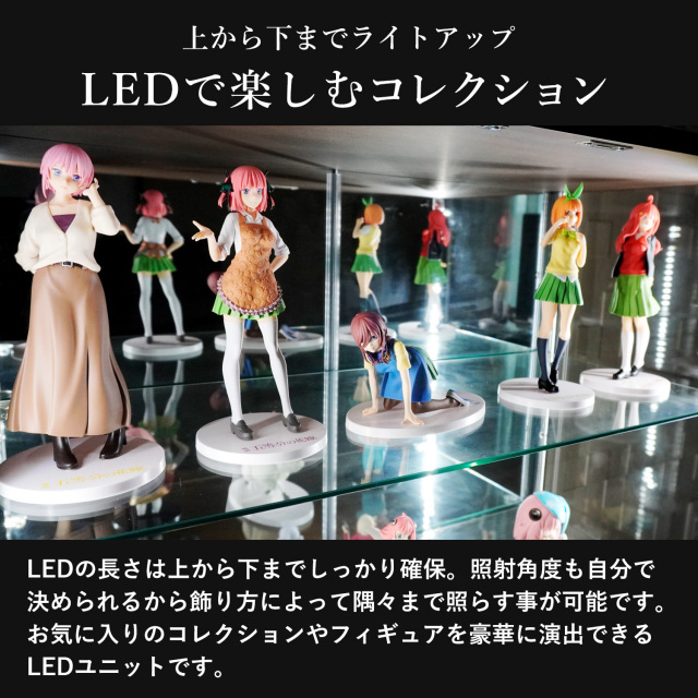 オプション] ガラスコレクションケースJONY ワイドハイタイプ（幅80cm