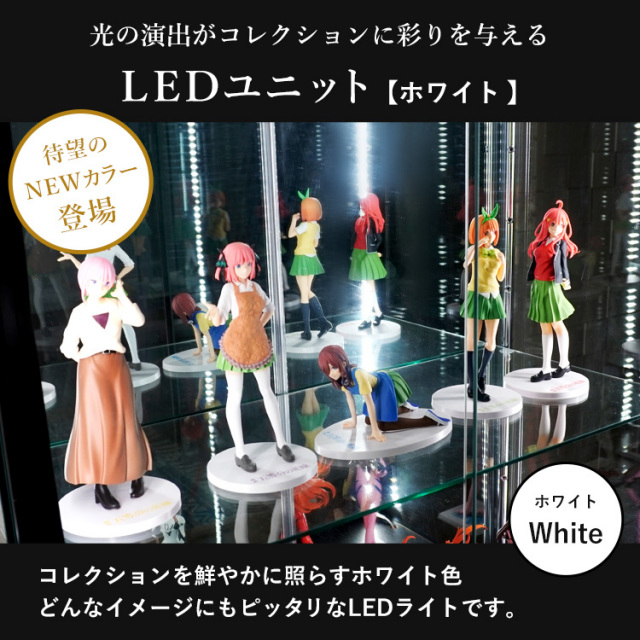 みわ　　　ガラスケース　五角形　一片が7センチ オプション] ガラスコレクションケース JONY ワイド ハイタイプ