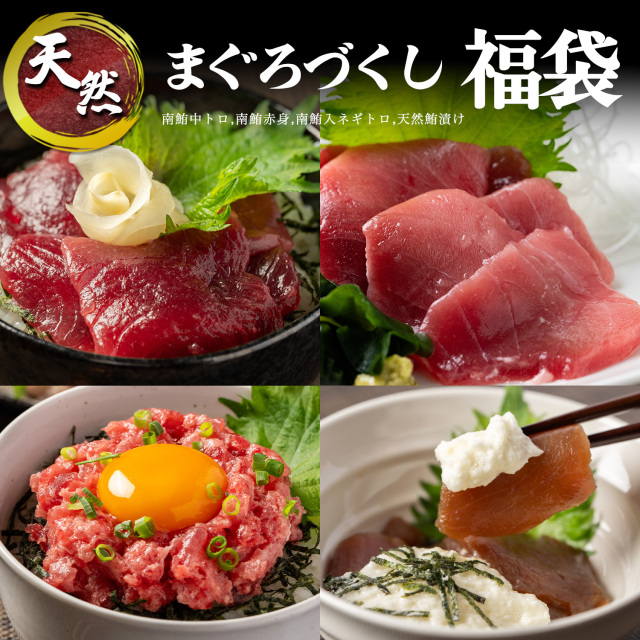 まぐろ尽くし福袋 ミナミマグロ 中トロ 赤身 ねぎとろ づけ 4品詰め合わせ 刺身カット済み 小分け セット 海鮮丼 刺身 寿司 漬け丼 海伸 本場の海鮮グルメ 新鮮 冷凍 家庭用 贈り物 焼津 海の極