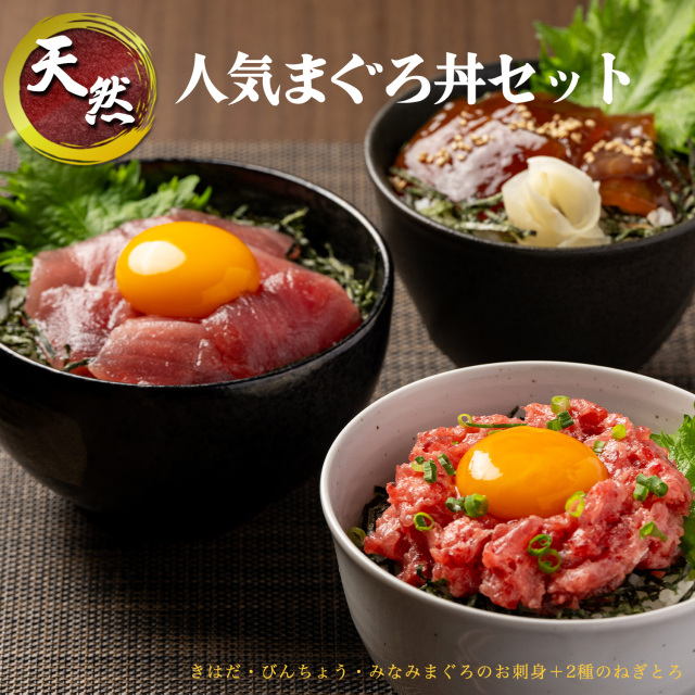 人気マグロ丼セット 刺身 海鮮丼 刺身 寿司 漬け丼 海伸 本場の海鮮グルメ 新鮮 小分け 冷凍 家庭用 贈り物 ギフト お中元 お歳暮 誕生日 焼津 海の極