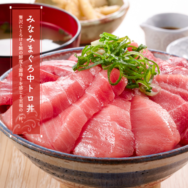 焼津 海の極 極上 ミナミマグロ 中トロ 柵 200g-600g 刺身 寿司 漬け丼
