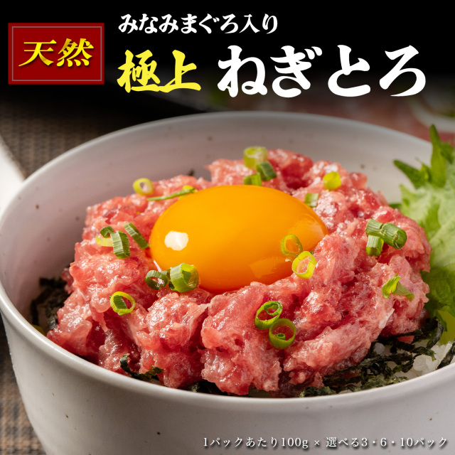 ミナミマグロ入り マグロのたたき 100g 小分け パック セット 静岡県焼津市製造 海伸 本場の海鮮グルメ ネギトロ お刺身 海鮮丼にも 天然まぐろ 新鮮 冷凍 ねぎとろ 焼津 海の極