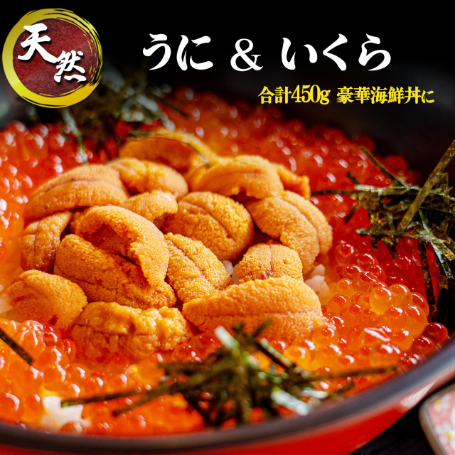 豪華 うに いくら丼セット 本場の海鮮グルメ 紅鮭いくら 醤油漬け ミョウバン不使用ウニ 冷凍 家庭用 贈り物 ギフト お中元 お歳暮 誕生日 焼津 海の極