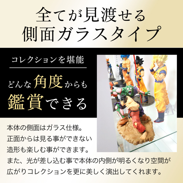 引き戸コレクションケース スラリス SLALIS 本体 ハイタイプ 側面