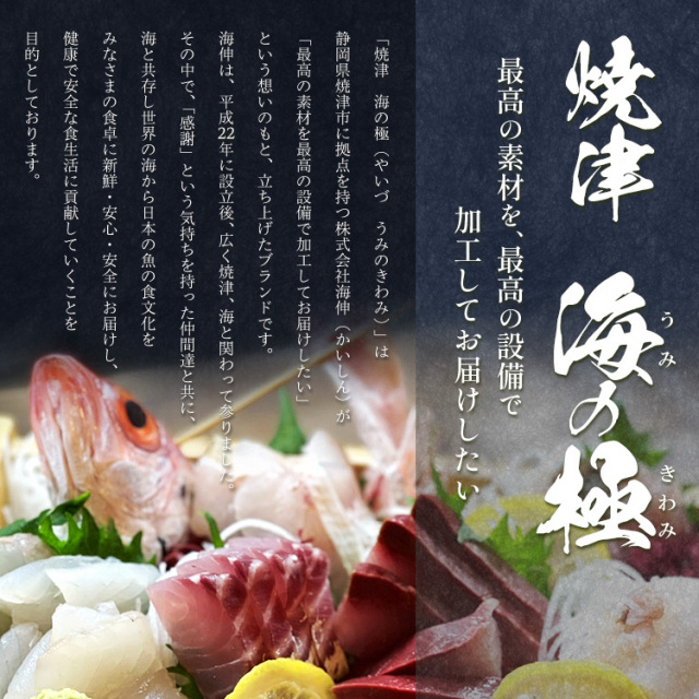 高級 南鮪入り 贅沢 ネギトロ ずくし 約1.68キロ セット 焼津 海の極
