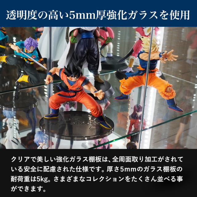 オプション] ライティングガラスコレクションケース Giorno ワイド専用