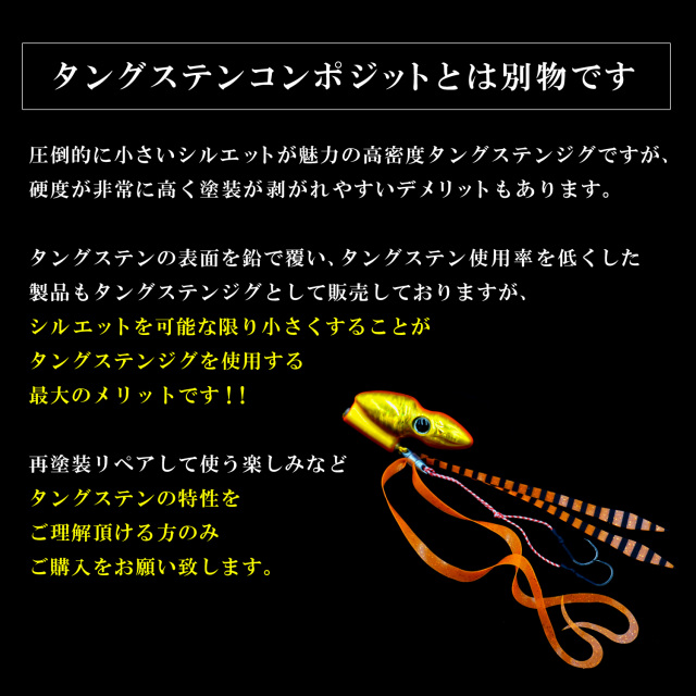 BAKSTORM パクッと咥えて TYPE TG タングステン単品 タイラバ 120g