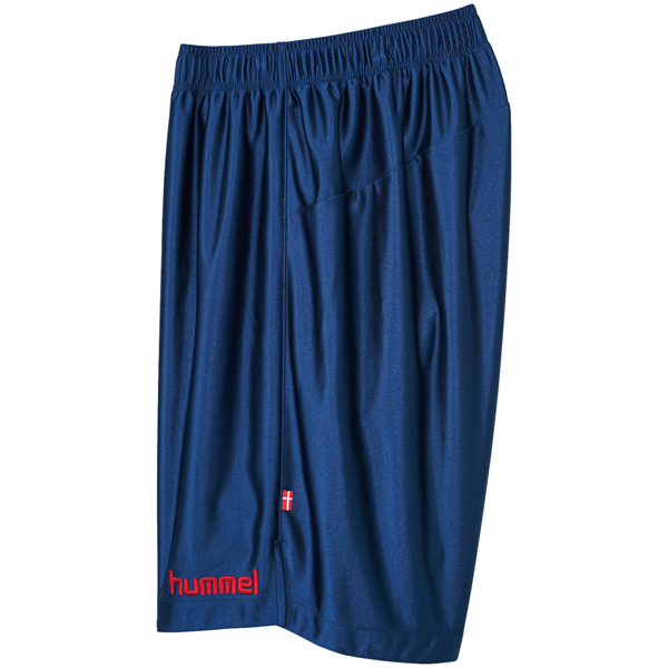 ★激レア★　サンウルブズ　支給品　プラクティスパンツ SALE】【ヒュンメル】HAP2039 プラクティスパンツ（S～O）□股下