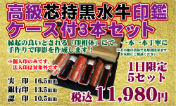 黒水牛ケース付３本セット【広告の品】