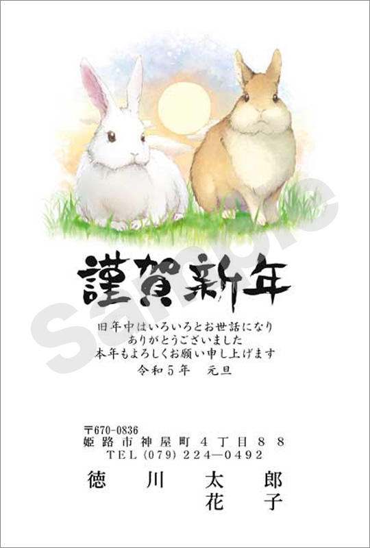 年賀状　お値打ちカラー印刷　はがき代込　3013