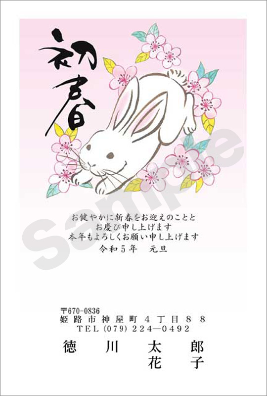 年賀状　お値打ちカラー印刷　はがき代込　3015