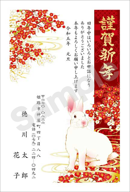 年賀状　フルカラー（スタンダード絵柄）　はがき代込　4208