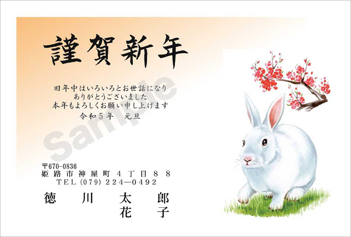 年賀状　フルカラー（スタンダード絵柄）　はがき代込　4227