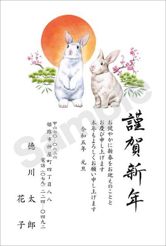 年賀状　半額フルカラー（限定16柄）　はがき代込　H011　※12月15日まで！