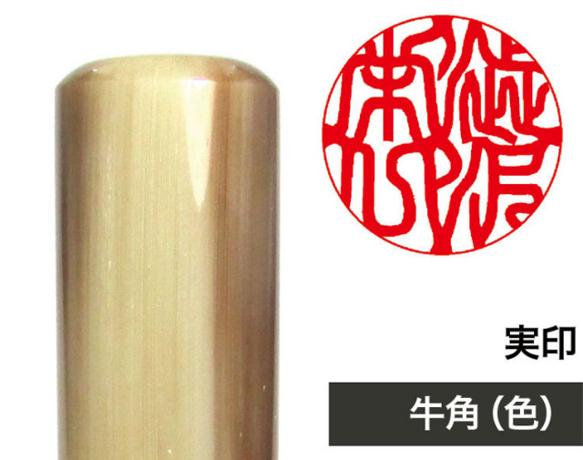 国宝金印 復刻 純銀『漢委奴国王印』 | 東京書芸館公式通販
