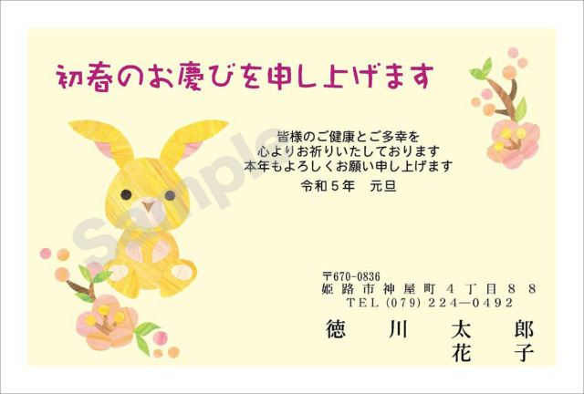 年賀状　お値打ちカラー印刷　はがき代込　3001