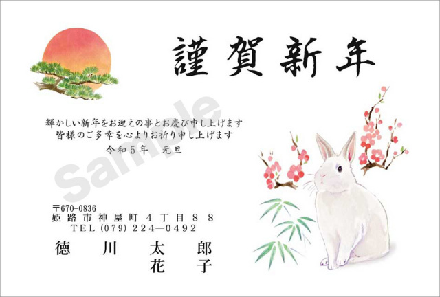 年賀状　お値打ちカラー印刷　はがき代込　3002