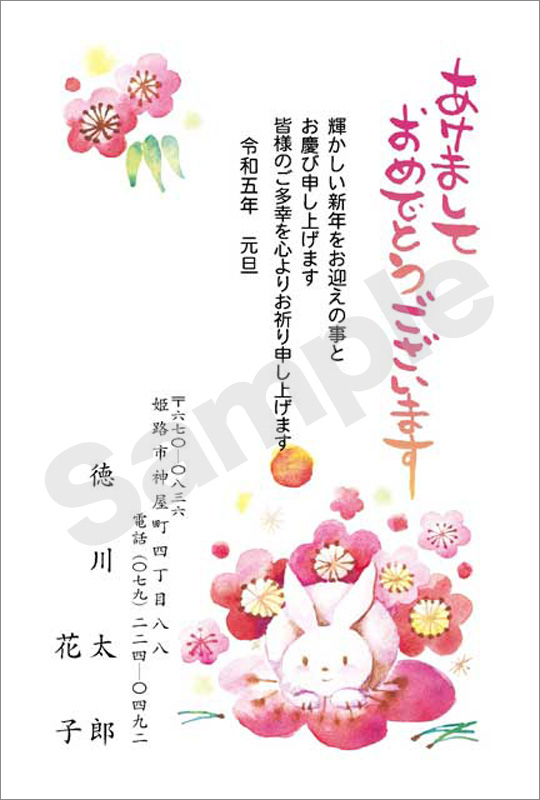 年賀状　フルカラー（スタンダード絵柄）　はがき代込　4221