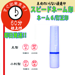 ブラザーネーム６訂正印