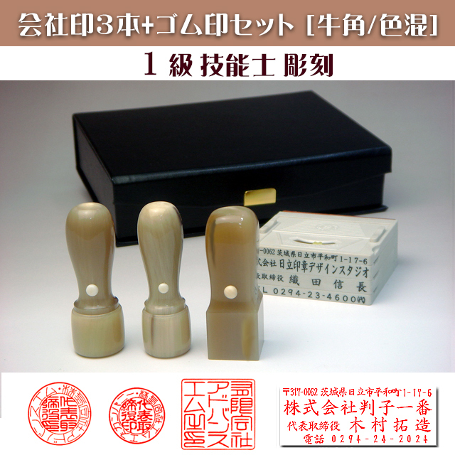 闘牛角 3株セット