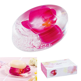 アクアペダル・ソープディッシュ