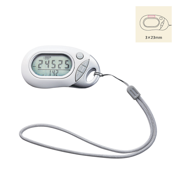 3Dペドメーター