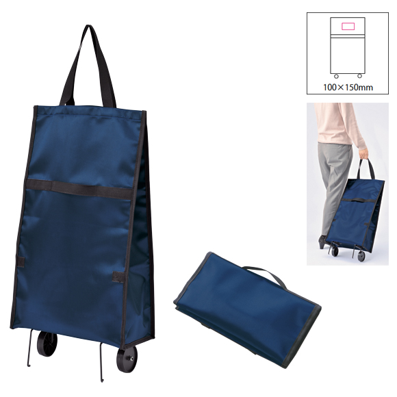 キャリーバッグ