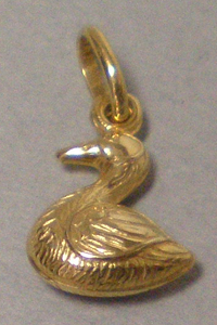 duck_front