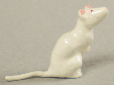 rat_front2