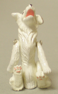 dog_front