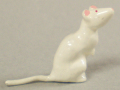 rat_front2