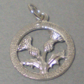 thistle_front