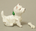 westie_front